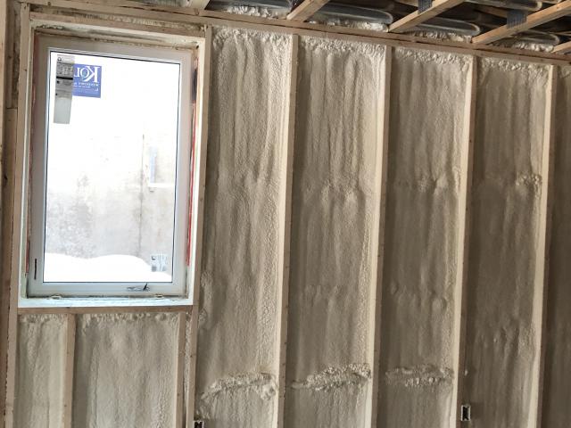 Two inches of closed-cell spray foam adds rigidity to the 2-by-4, 24-inch on-center walls, while 2 inches of R-10 rigid foam wraps the exterior of the walls over the 7/16-inch OSB sheathing.