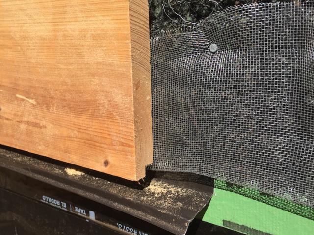 The metal screening keeps insects out of the black mesh plastic fabric, which provides a ventilation gap behind the home's siding, which includes the ship-lapped cypress shown here.