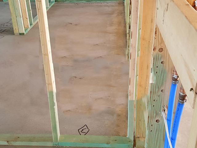 Framing is treated with borate to discourage termites. Good site water drainage practices, air-sealing around the foundation, and flashings and protective coverings for foundation insulation also help discourage pests.