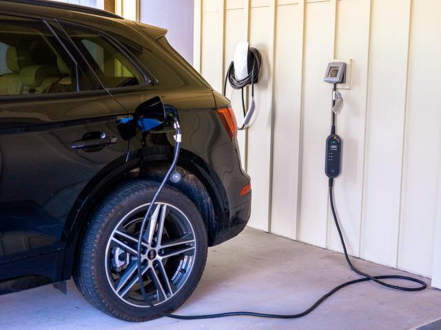 2024-Red Tree-10-EV charger car - Copy