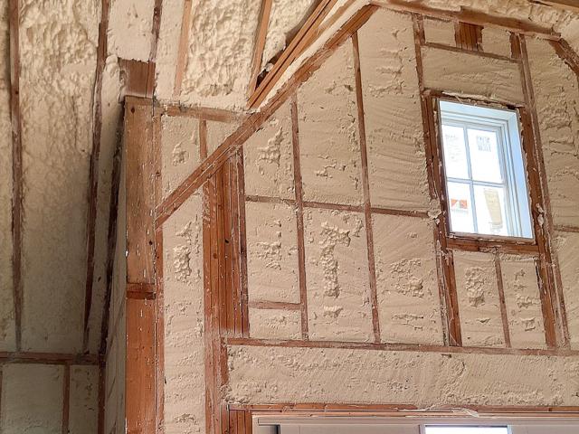 2024-Red Tree-8-spryfm wall attic