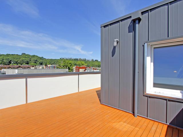 The high-performance home has a rooftop deck on the third floor, providing views and maximizing space on the infill site.